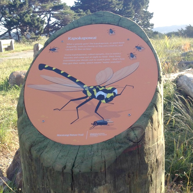 A signpost describing the kapokapowai.