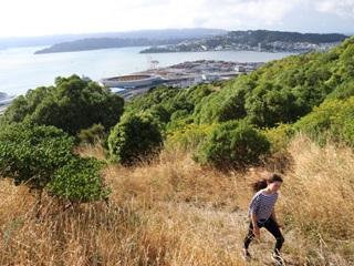 Picture taken from the Northern walkway, showing views of the city and the harbour.