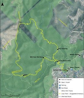 Otari Skyline Loop map.