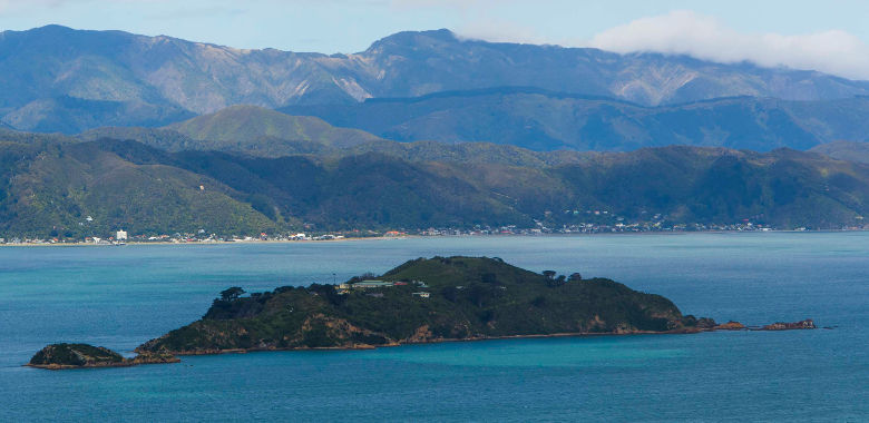 The harbour viewed from Te Ara Paparārangi track