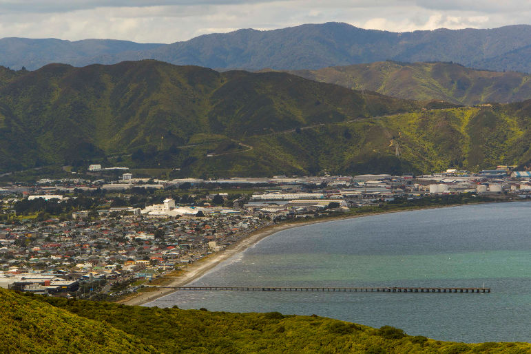 Petone viewed from Te Ara Paparārangi track.