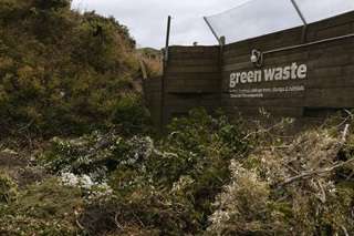 Various tree and plant material deposited at a Green Waste drop-off point.