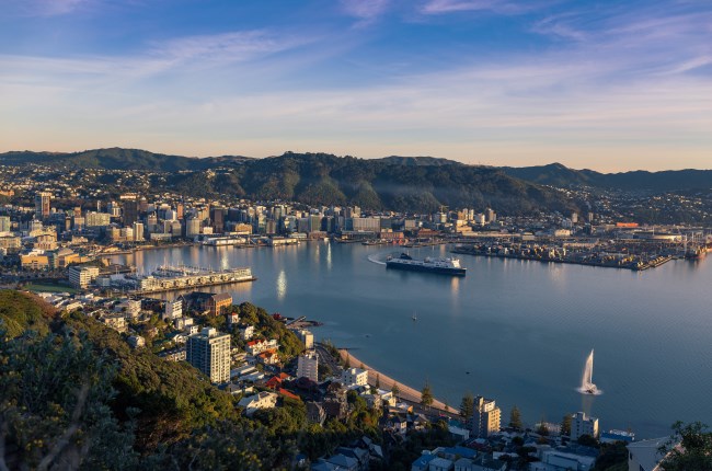 Wellington City Council votes to keep Te Whanganui-a-Tara Māori Ward