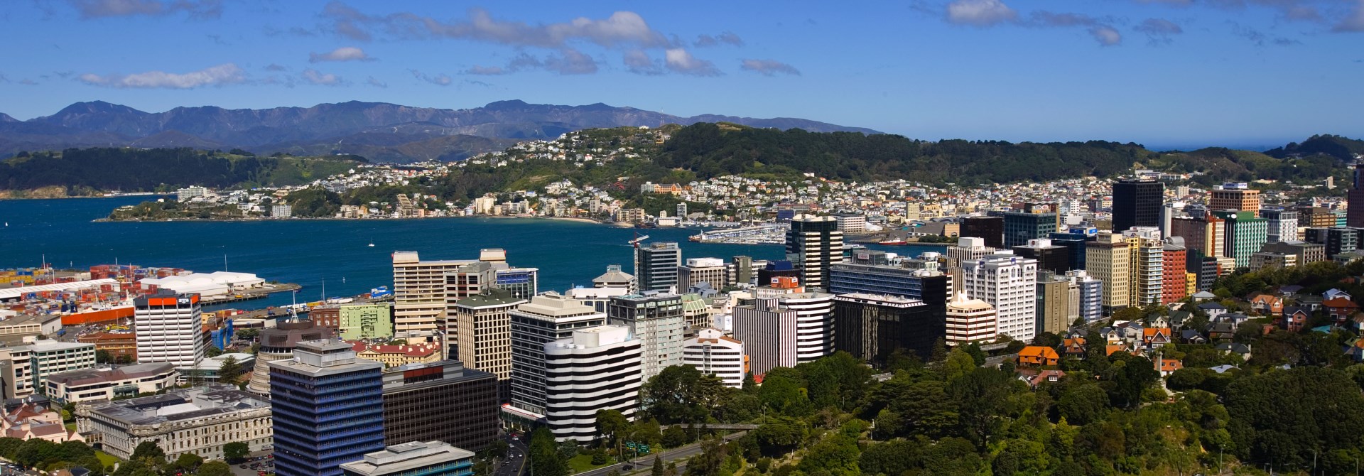 Wellington City from Tinakori Hill on a sunny day