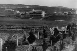 Fields and a stream making up the Basin Reserve in 1875.