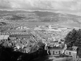 View of Rongotai and Centennial Exhibition buildings. Photograph taken in 1939 by William Hall Raine.