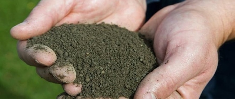 An example of dried sludge like the product from the proposed Wellington Sludge Minimisation Facility.