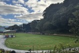 Long-distance shot of the park, showing the picnic area, grass field, and the path around the edge of the park.
