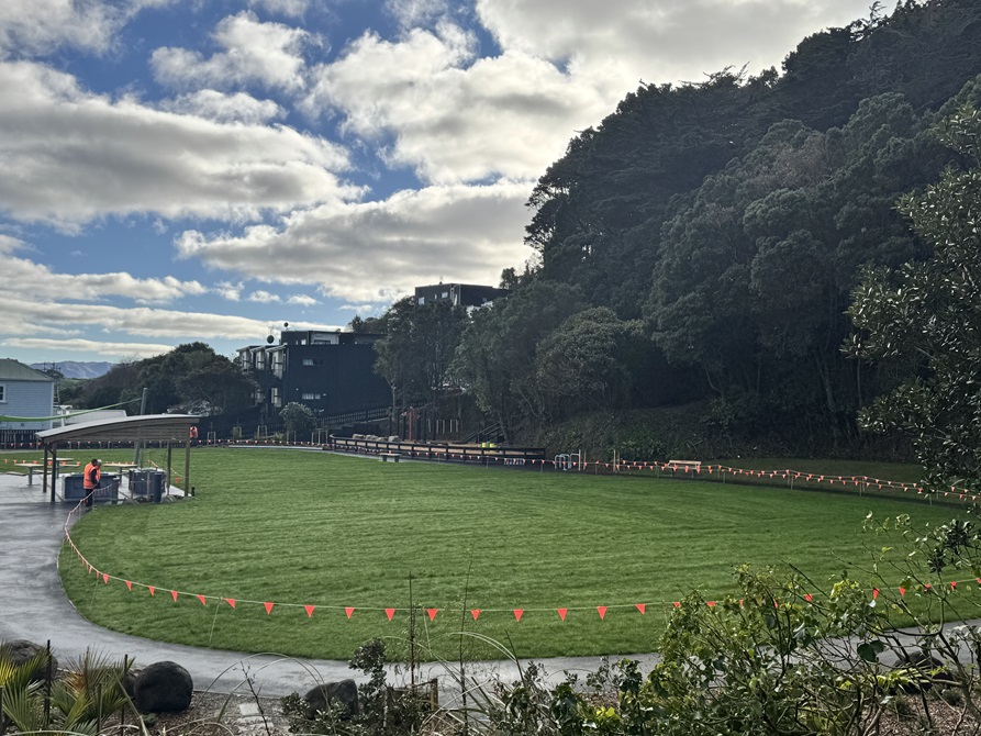 Long-distance shot of the park, showing the picnic area, grass field, and the path around the edge of the park.
