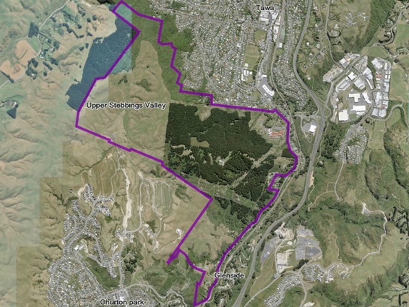 The boundary of Upper Stebbings Valley, between Churton Park and Tawa.